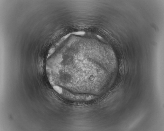 X0000112770866200909101549