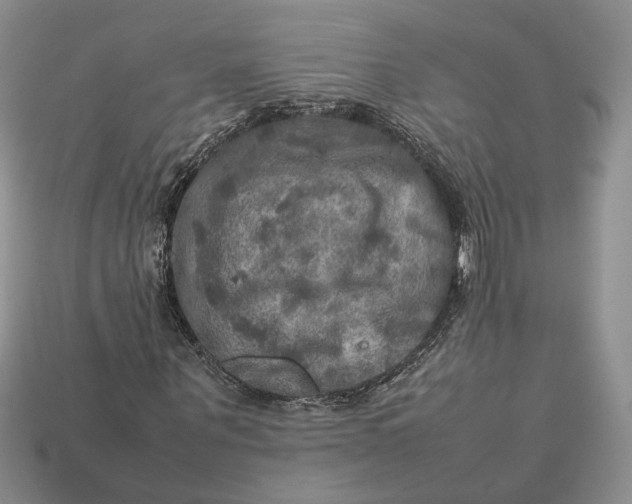 X0000112770867200909101549