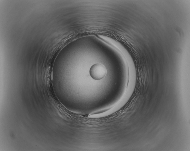 X0000112770868200909101549