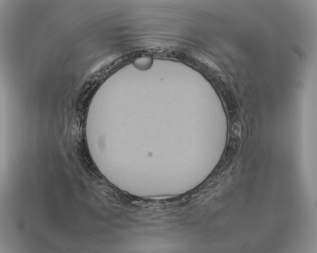 X0000112770869200909101549