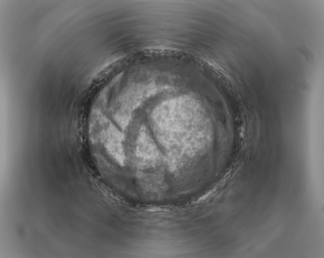 X0000112770870200909101549