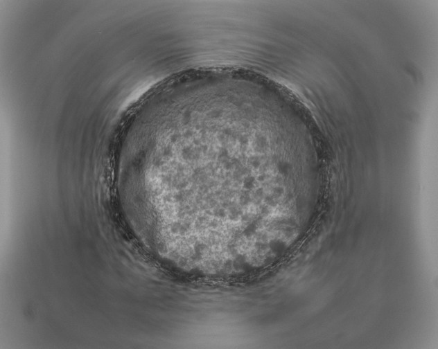 X0000112770871200909101549