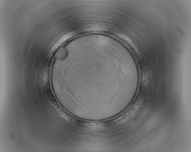 X0000112770874200909101549