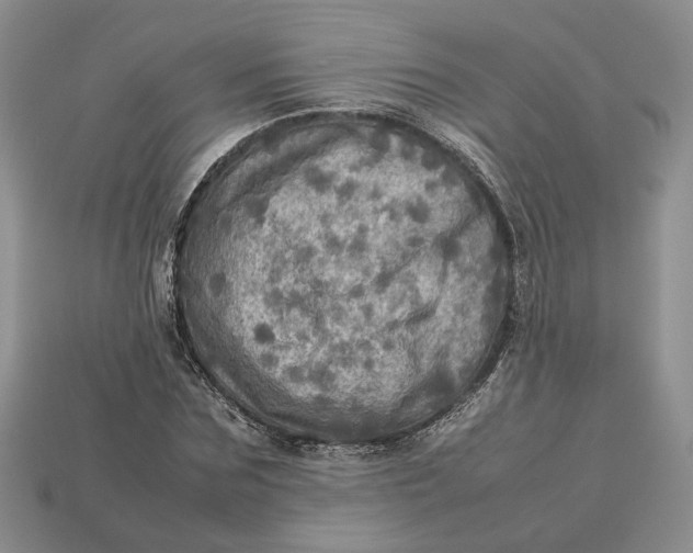 X0000112770875200909101549