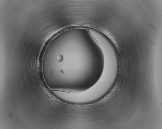 X0000112770876200909101549