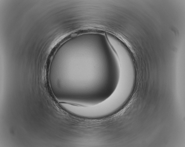 X0000112770877200909101549