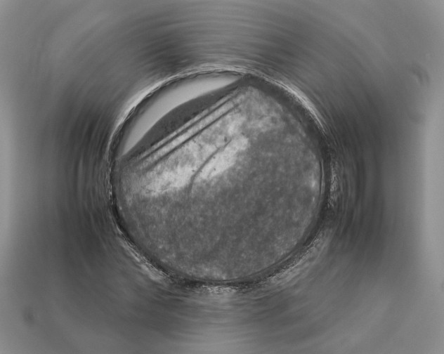 X0000112770878200909101549