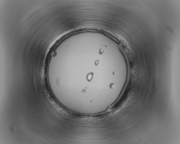 X0000112770880200909101549