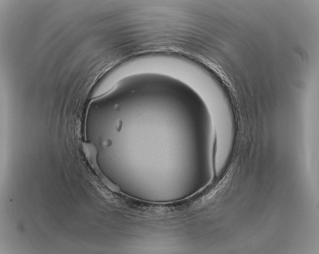 X0000112770881200909101549