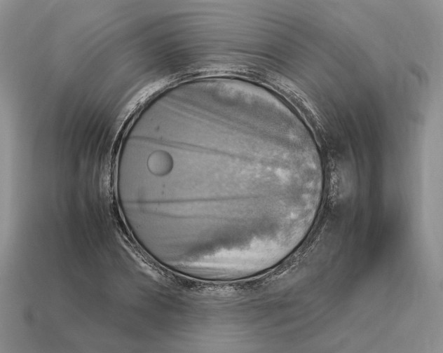 X0000112770882200909101549