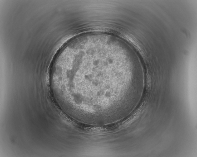 X0000112770883200909101549