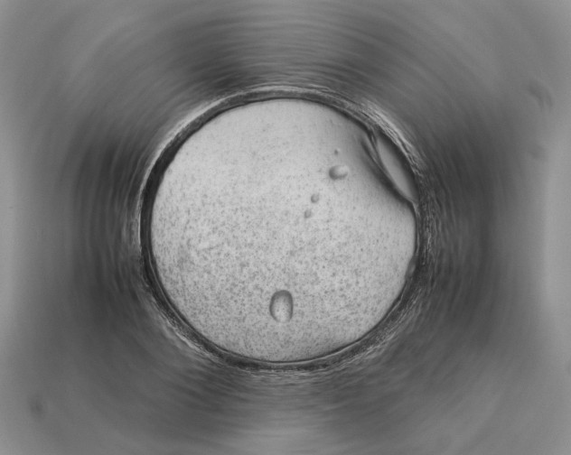 X0000112770884200909101549