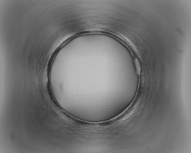 X0000112770885200909101549