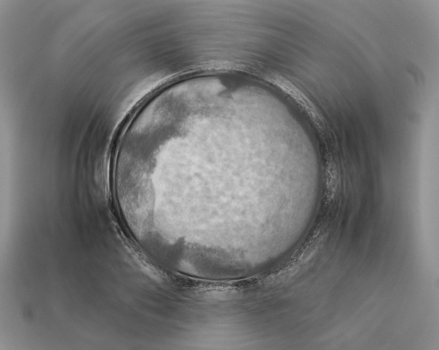 X0000112770886200909101549