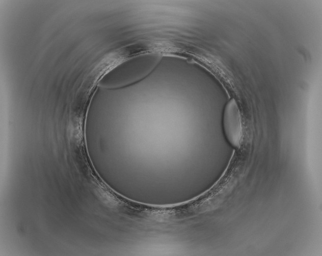 X0000112770889200909101549