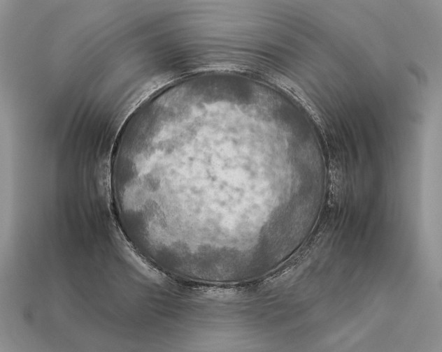 X0000112770890200909101549