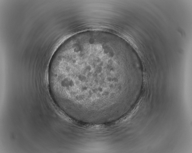 X0000112770891200909101549