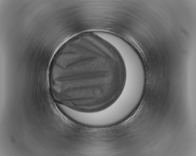 X0000112770892200909101549