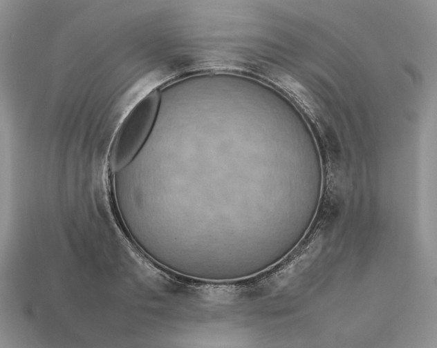 X0000112770893200909101549