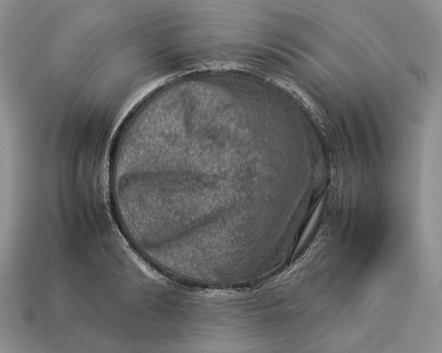 X0000112770894200909101549