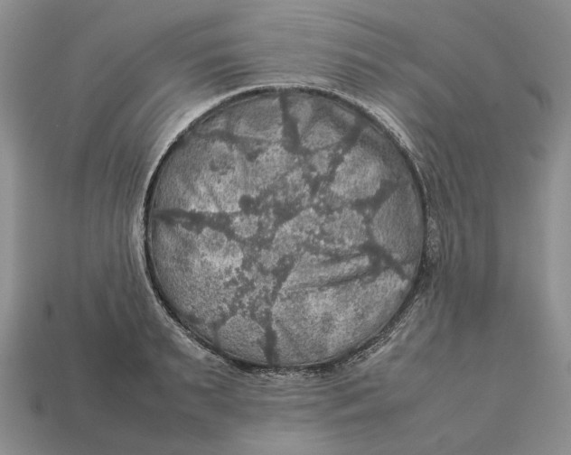 X0000112770895200909101549