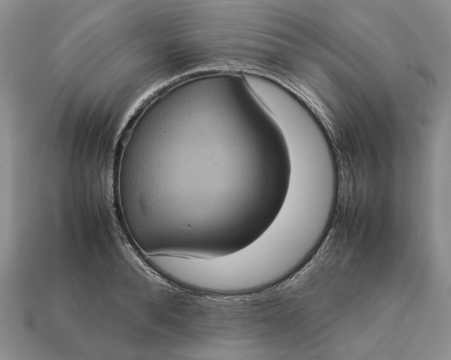 X0000112770896200909101549