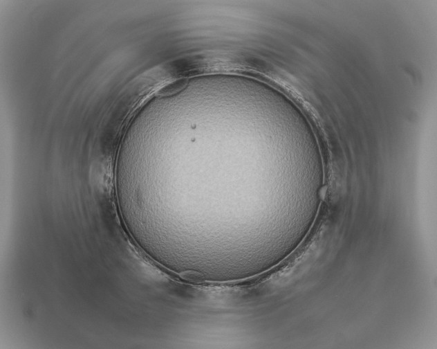 X0000112770897200909101549