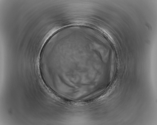 X0000112770899200909101548