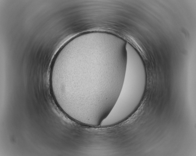 X0000112770900200909101548