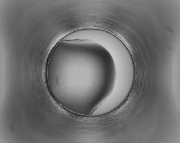 X0000112770901200909101548