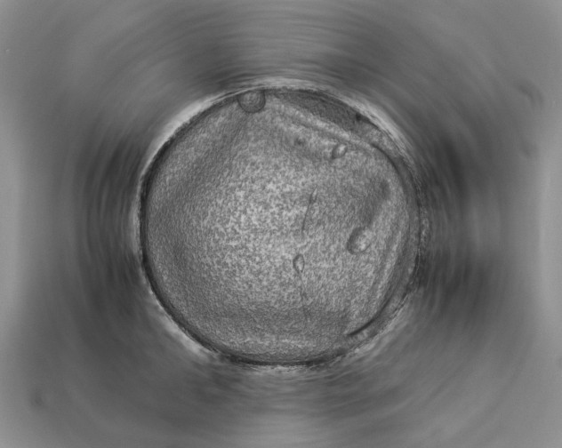 X0000112770902200909101548