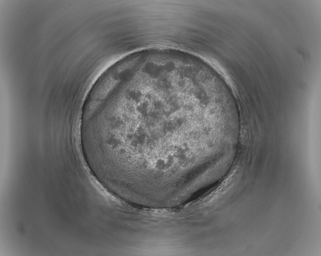 X0000112770903200909101548