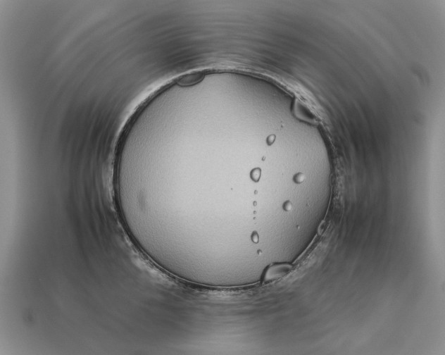 X0000112770904200909101548