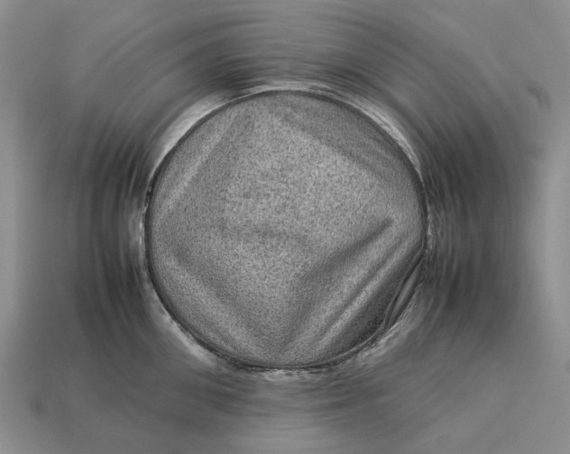 X0000112770906200909101548