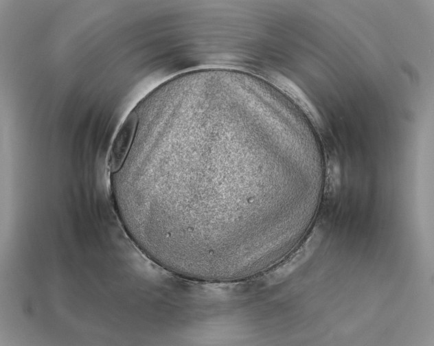 X0000112770908200909101548