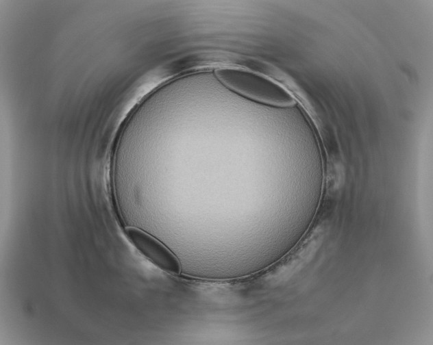 X0000112770909200909101548