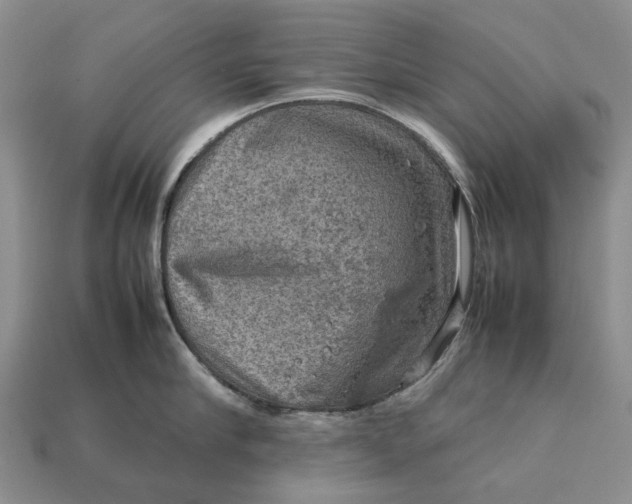 X0000112770910200909101548