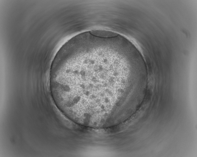 X0000112770911200909101548