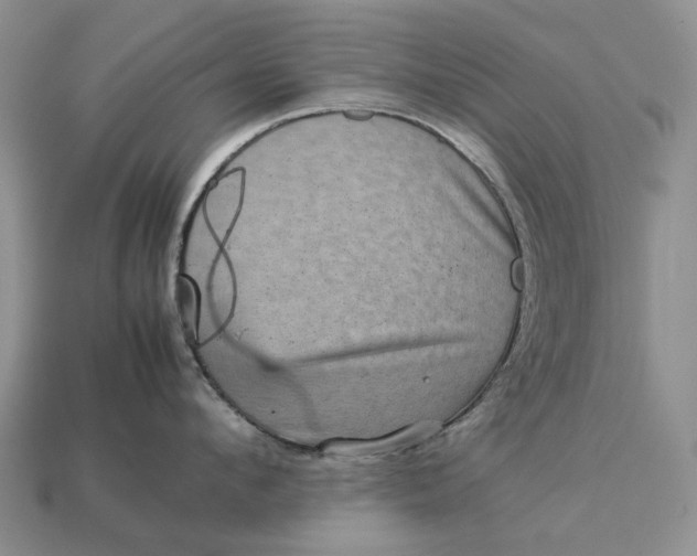 X0000112770912200909101548