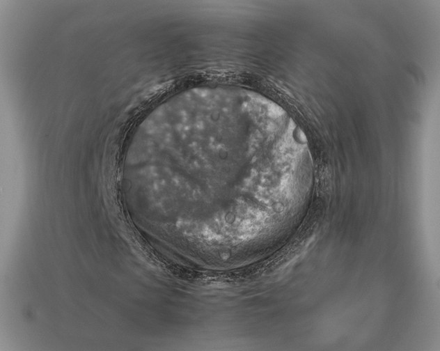 X0000112770913200909101548