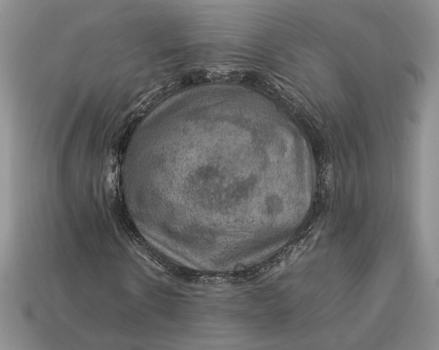 X0000112770914200909101548