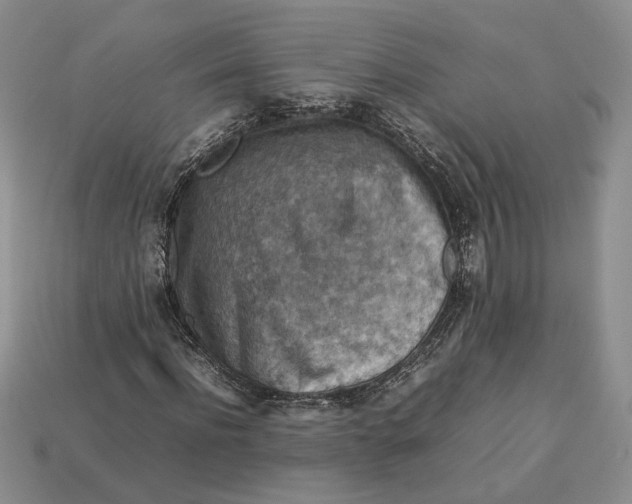 X0000112770916200909101548