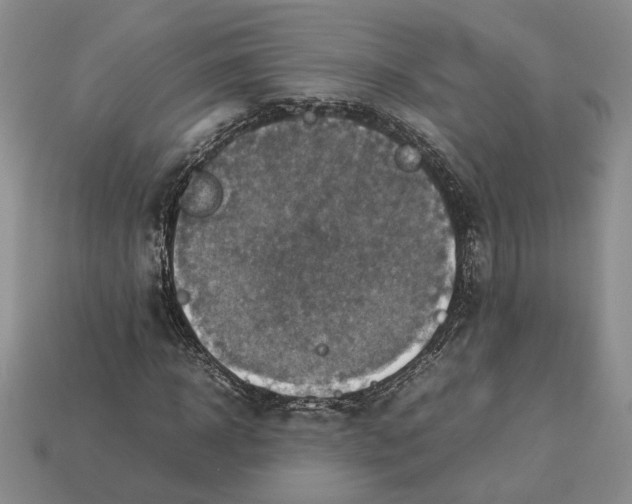 X0000112770918200909101548