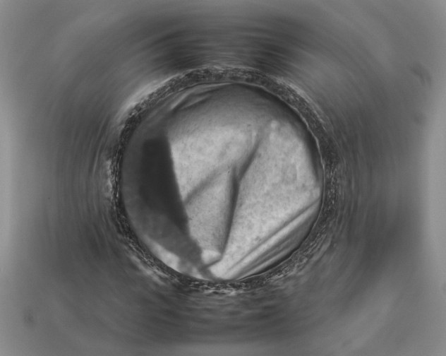 X0000112770919200909101548