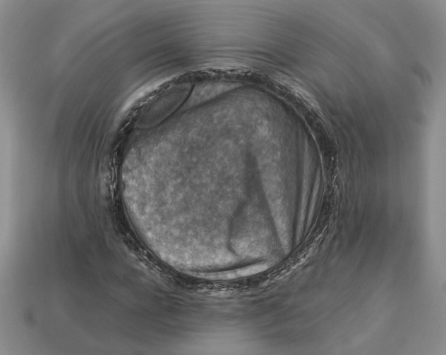 X0000112770920200909101548