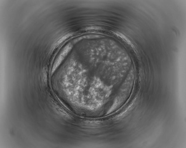 X0000112770921200909101548