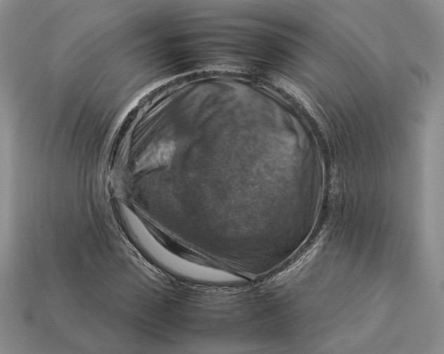 X0000112770923200909101548