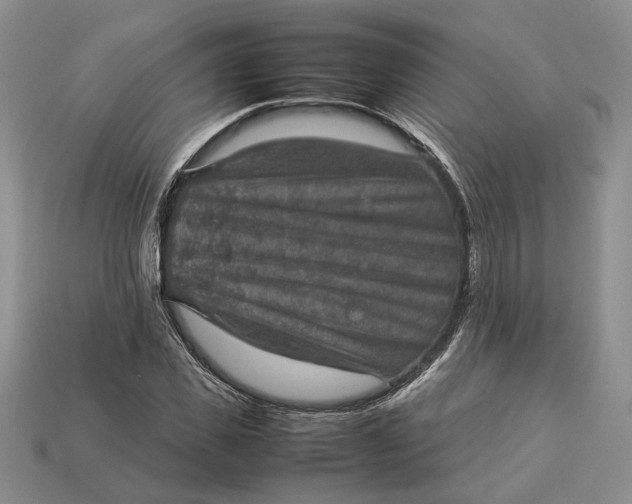 X0000112770925200909101548