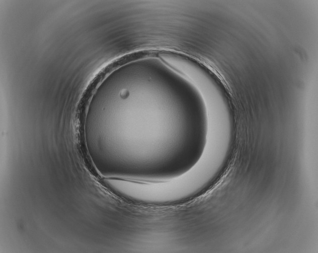 X0000112770926200909101548