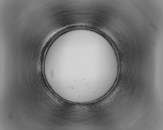 X0000112770927200909101548